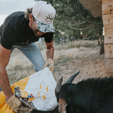 Camo Elk Hat