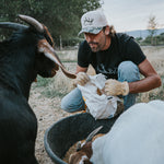 Camo Elk Hat