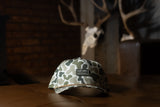 Own The Darkness Hat