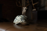 Own The Darkness Hat
